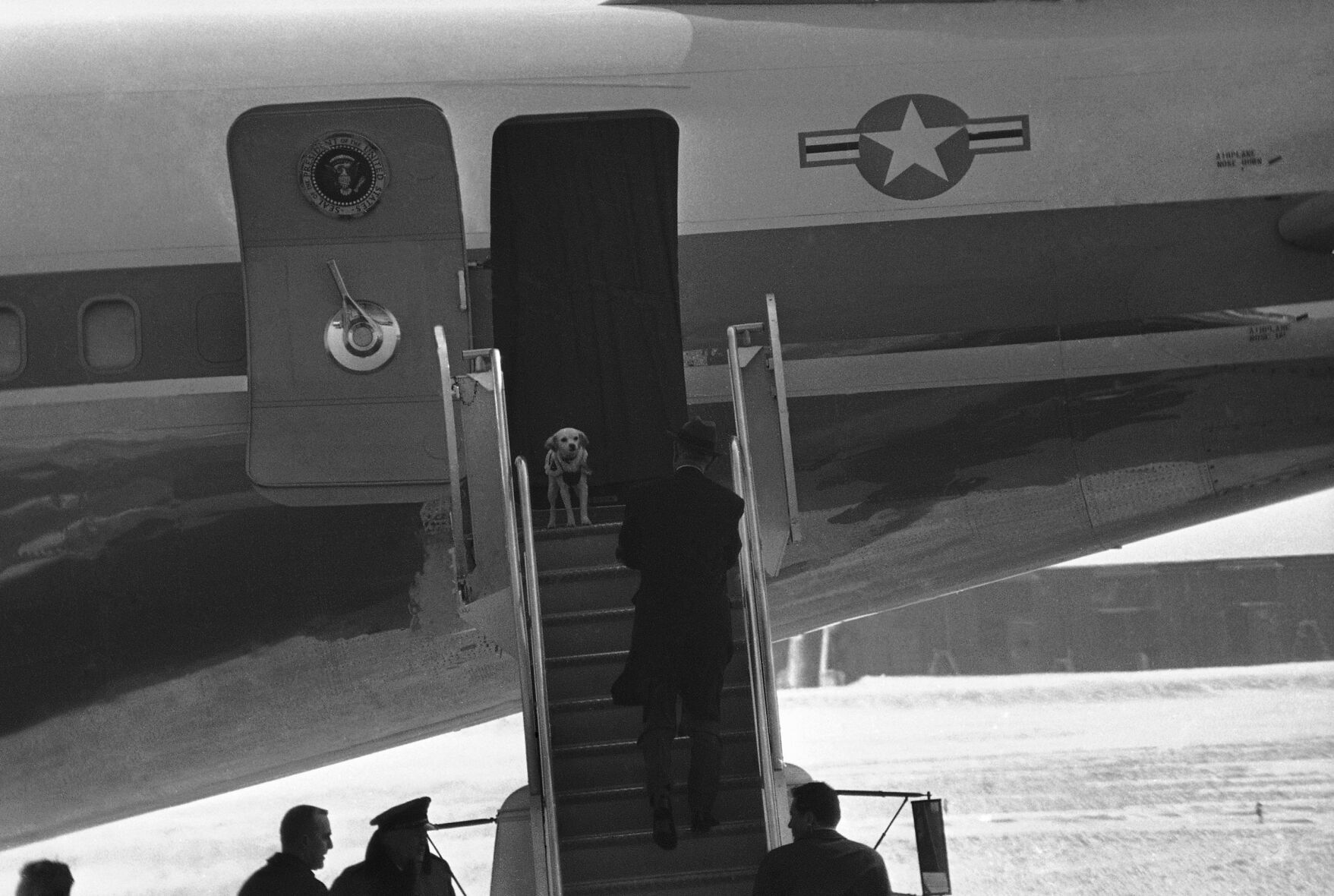 Presidential Pets 1968